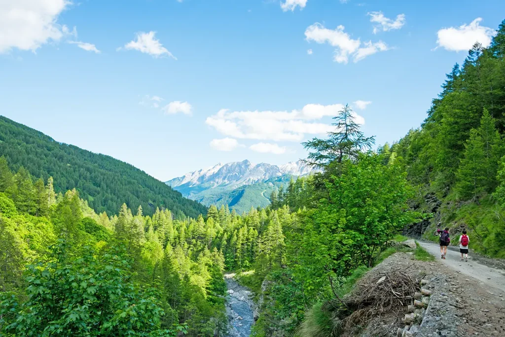 bardonecchia passeggiate e trekking in estate tra la natura della montagna